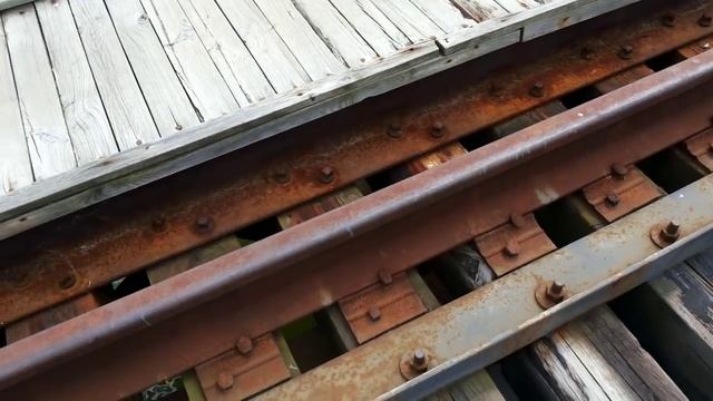 ЧАЭС. Пруд-охладитель. Кормим рыбу смотреть онлайн