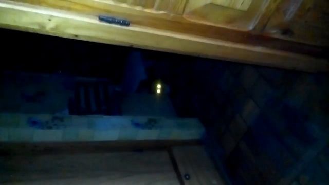 в кота вселился бес смотреть онлайн