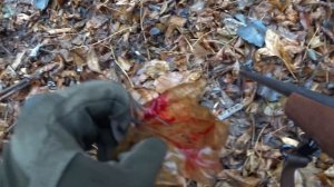 Охота на копытных / олень / кабан / косуля / загонная / коллективная