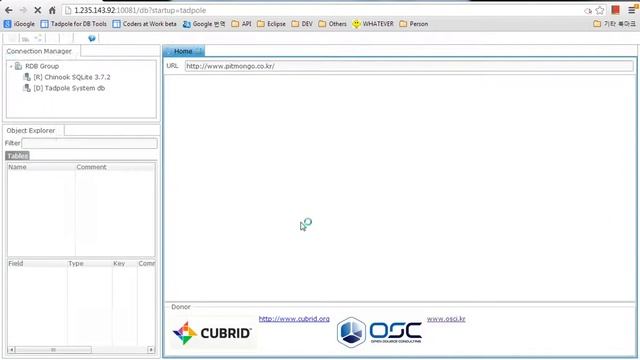 Tadpole for DB Tools SR11 demo смотреть онлайн