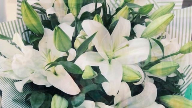 Мама и Цветы смотреть онлайн