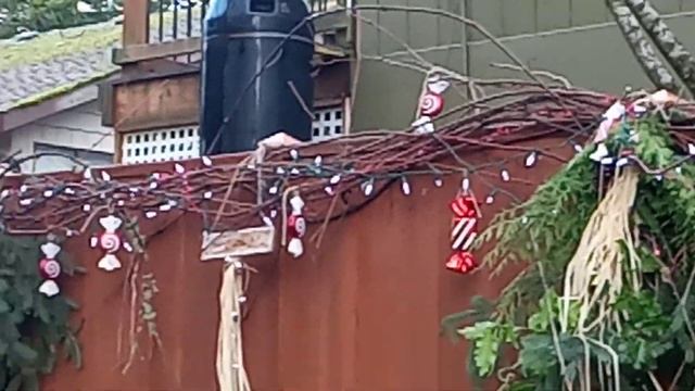 Всех с началом зимы! Олимпия штат Вашингтон США. смотреть онлайн