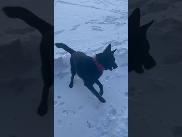 IMG 0088 смотреть онлайн