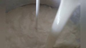 Сепарируем козье молоко, сливки из козьего молока.