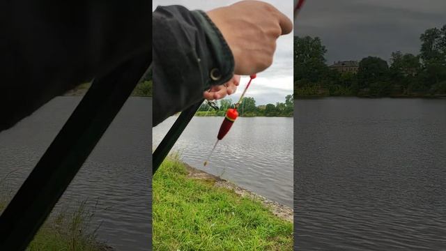 Как распутать леску на рыбалке смотреть онлайн