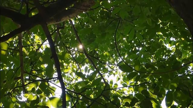 Personal Finance Advice