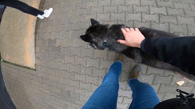 Один день от первого лица (first person) Graffiti Peir смотреть онлайн