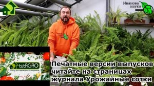 ИДЕАЛЬНАЯ ПРИСЫПКА... ДЛЯ СЕМЯН! С этой присыпкой не будет мух, грибков и черной ножки! Всходы клас