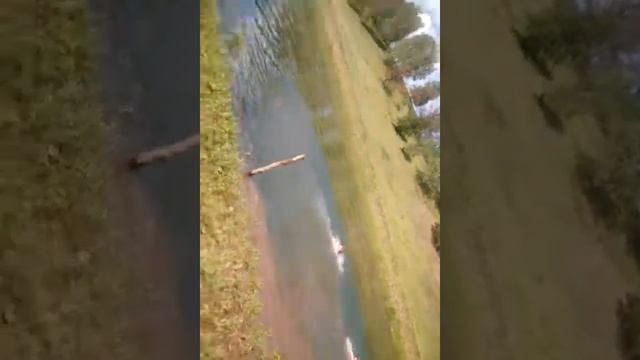 *Бомбочка* смотреть онлайн