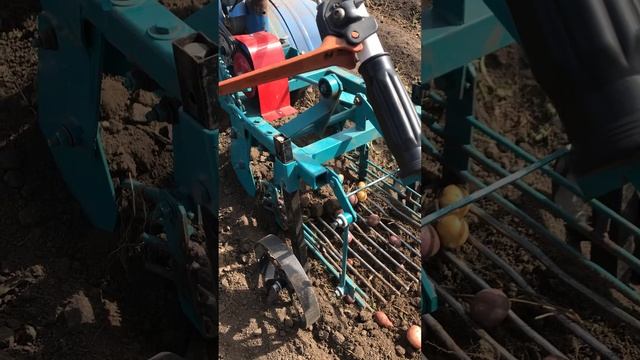 23 августа 2023 г. смотреть онлайн