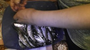 Наша рыбка-беломорка!!! Очень вкусная))Our fish-Belomoro!!! Very tasty))