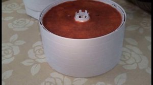 Приготовление пастилы на сушилке "Изидри"