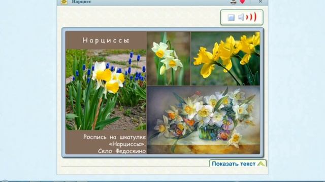 Чудесные цветники весной смотреть онлайн