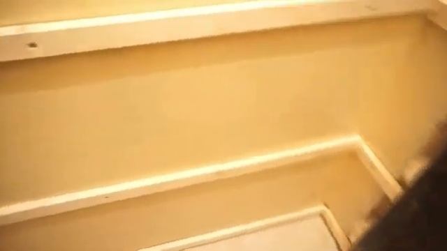 Отделка ПВХ панелями туалетной комнаты смотреть онлайн