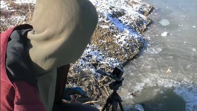 цимус 1 часть смотреть онлайн