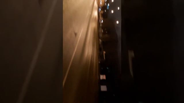 Петер прогулка в 5 часов утра