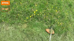 STIHL FS 250 trimmer.