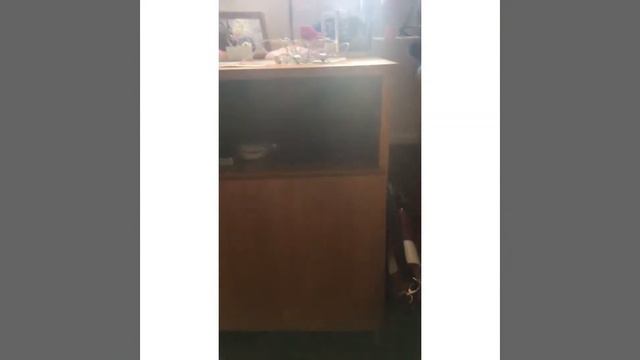 Первый день в общаге 😲 смотреть онлайн