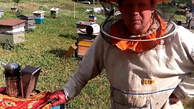 Противороевые мероприятия.Самый быстрый способ.