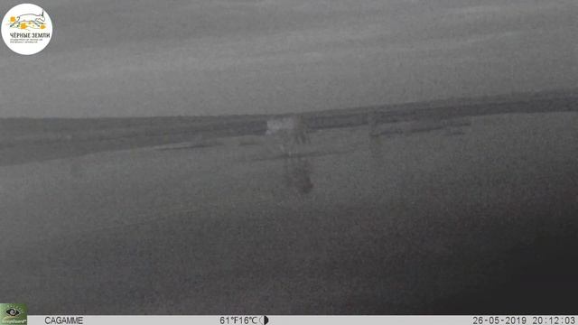 Приоткрывая заповедные двери... Круговорот воды в федеральном заказнике "Меклетинский" смотреть онлайн