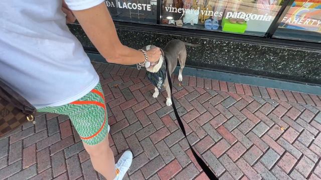LIVE Delray Beach Muscle Car Show & Spring Break Beach Walk & Atlantic Avenue Shops смотреть онлайн