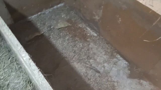 Накосячила Покупки на месяц смотреть онлайн