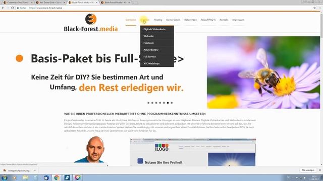 Wie Sie eine Wordpress Webseite ohne Vorkenntnisse erstellen смотреть онлайн