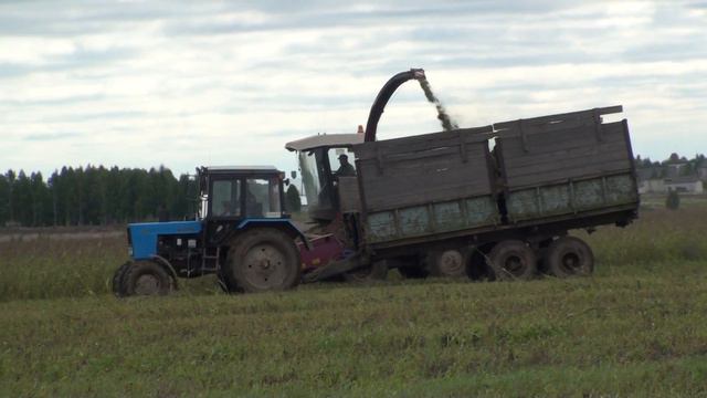 Заготовка силоса 2013. ПАЛЕССЕ 600. смотреть онлайн