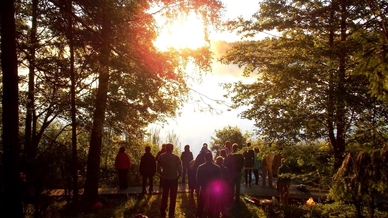 Общение без статуса и субординации в мире четвертого измерения.