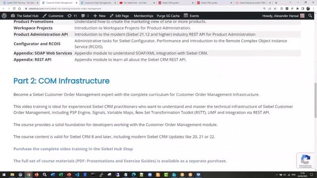 Siebel Friday 24 June 2022 - MYTHBUSTERS смотреть онлайн