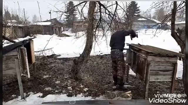Белка и Стрелка