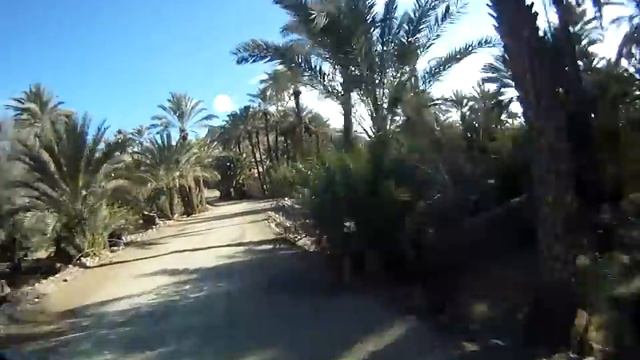 Agdz Palm Road смотреть онлайн
