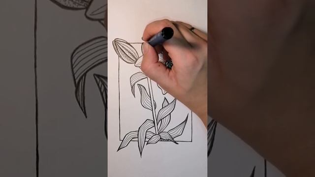 Рисуем цветок. Лилия смотреть онлайн