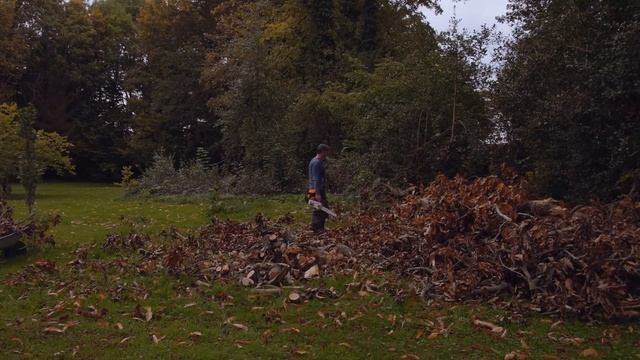 Why we have to say Good bye. смотреть онлайн