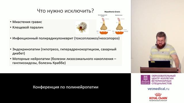 Копытов К. Г. - Острый полирадикулоневрит собак. смотреть онлайн