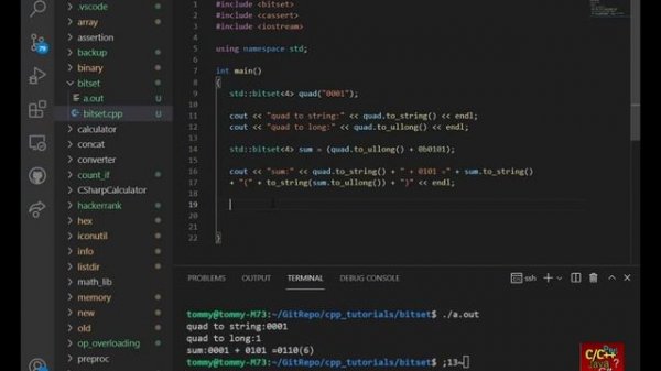 C++ Bitset Class | Software Coding Tutorials Channel