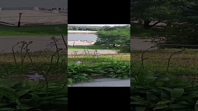 В ГОМЕЛЕ смотреть онлайн