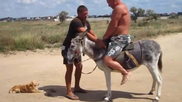 Песчанка, пляж смотреть онлайн