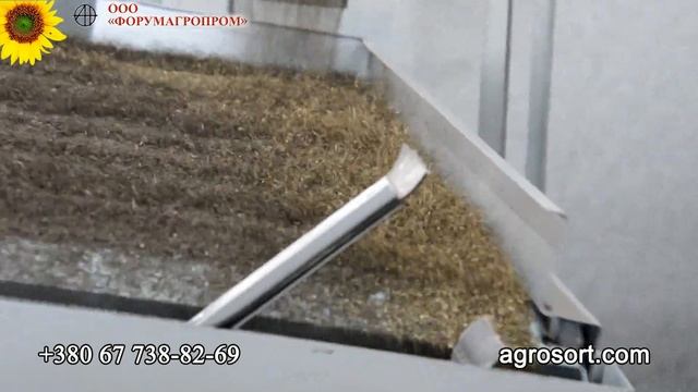 очистка семян салата на вибропневмостоле / peeling lettuce seeds on Vibropneumo exciter смотреть онлайн