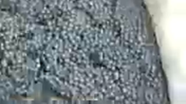 Каспий. Белуга. Чёрная икра смотреть онлайн