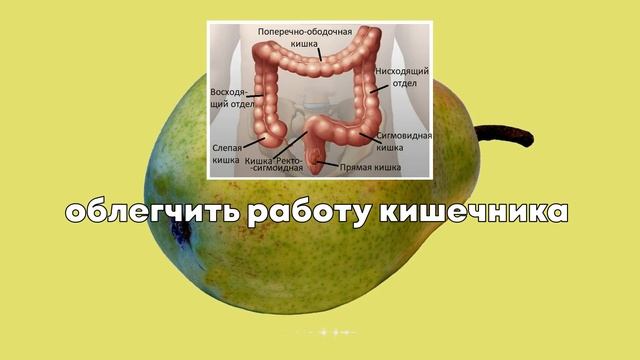 Груша Польза и Вред Лечебные Свойства смотреть онлайн