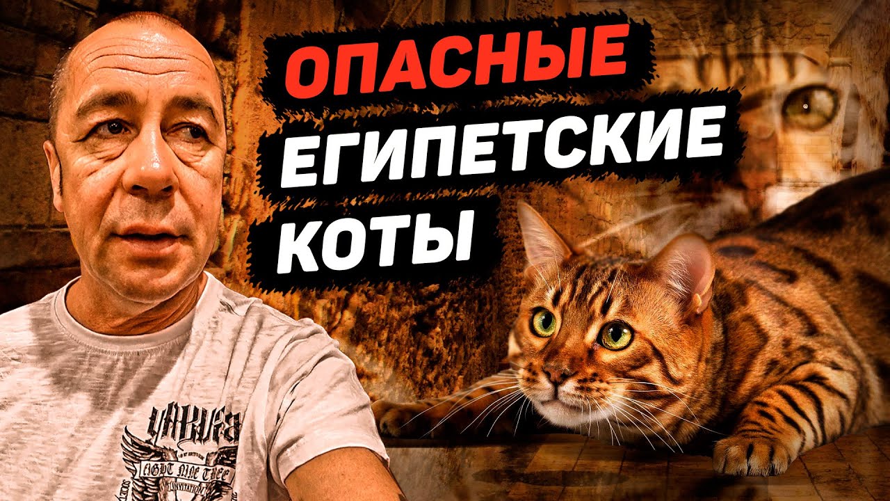 Виа Гра для туристов. Наама Бей. Шарм Эль Шейх. Египет 2021. Часть 2 смотреть онлайн