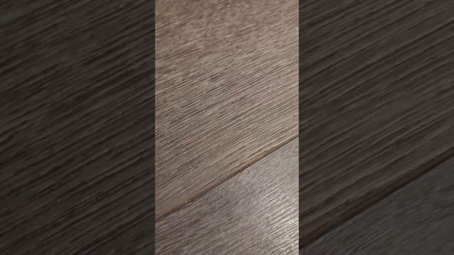 каково быть котом?И сейчас вы это узнаете! смотреть онлайн