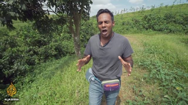 Liberia environmentalists blame Firestone for river pollution смотреть онлайн