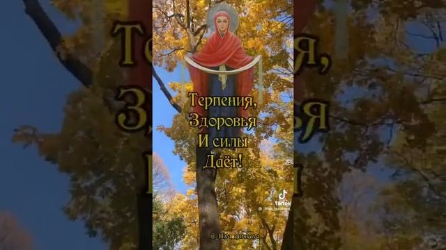 Покров Пресвятой Богородицы... смотреть онлайн