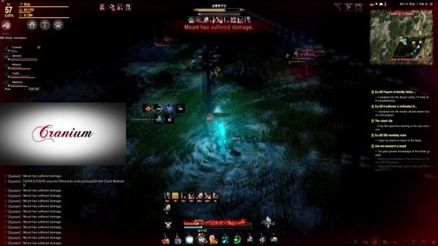 Black Desert KR - Witch PvP Node War смотреть онлайн