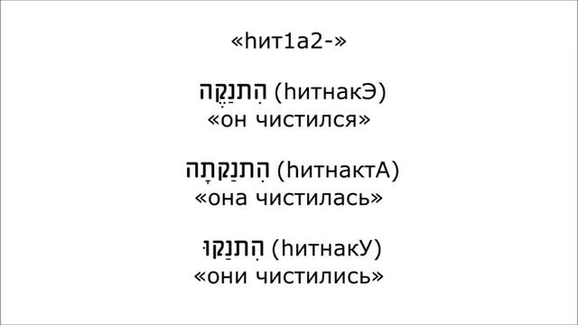 Урок № 166. Формы "слабых" глаголов биньяна התפעל (hитпаЭл) (часть 1) смотреть онлайн