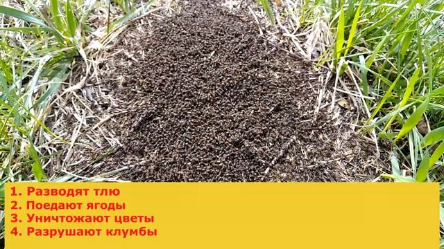 Рецензии на Фильмы