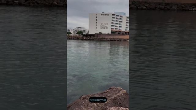 Рыбалка в Каннах ? смотреть онлайн