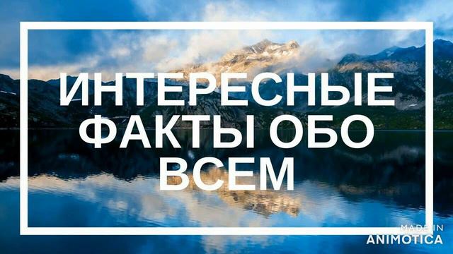 ИНТЕРЕСНЫЕ ФАКТЫ ЧАСТЬ 8 смотреть онлайн